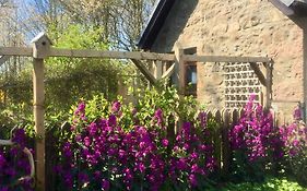 Gallery Cottage